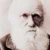 direencoredarwin